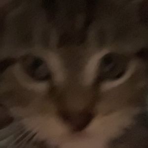 Meet your Posher, Madalyn